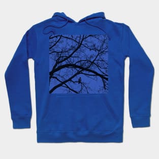 Nightfall in blue Hoodie